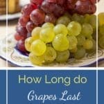 How Long Does Rhubarb Last (Tips for Storing)