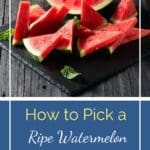 How Long Does Rhubarb Last (Tips for Storing)