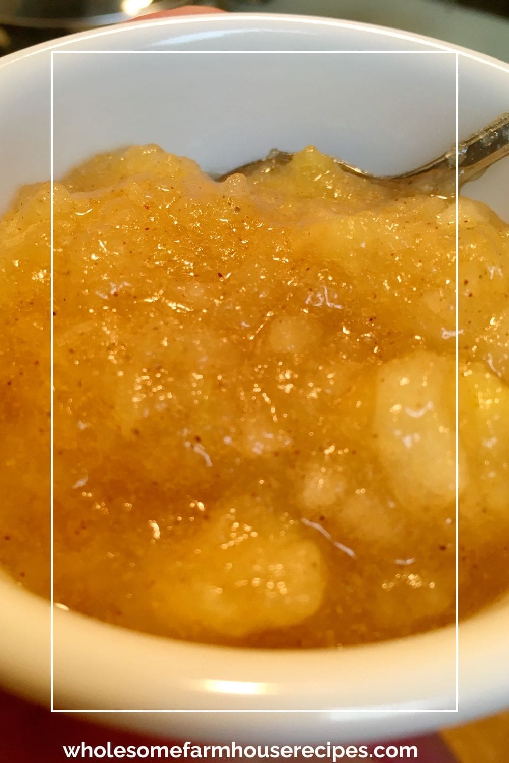 Chunky Homemade Applesauce
