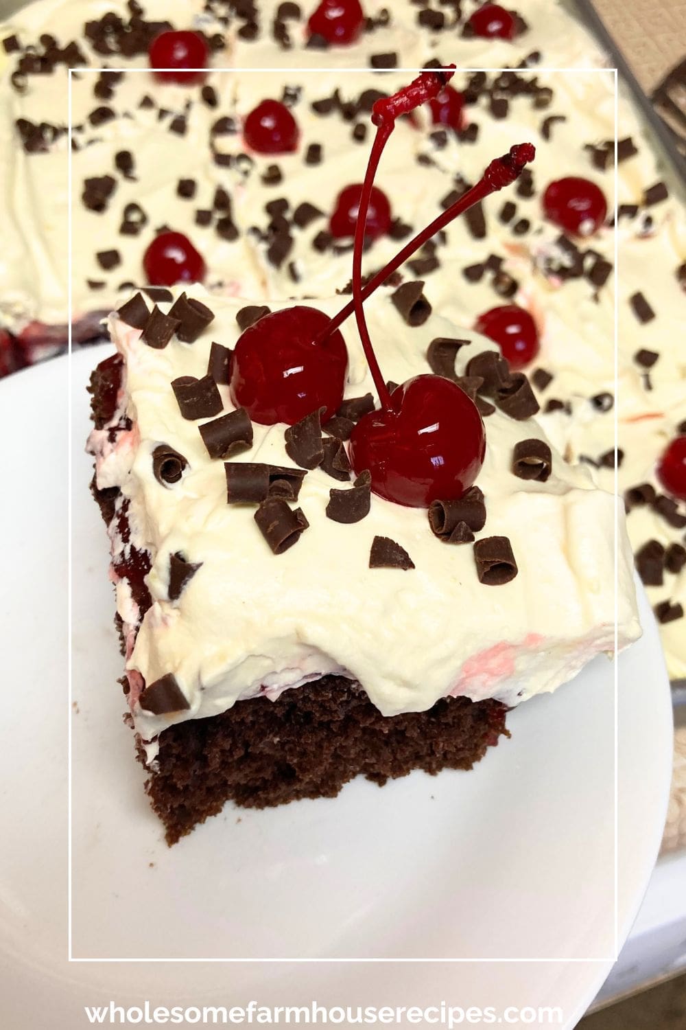 Delicious Black Forest Cake