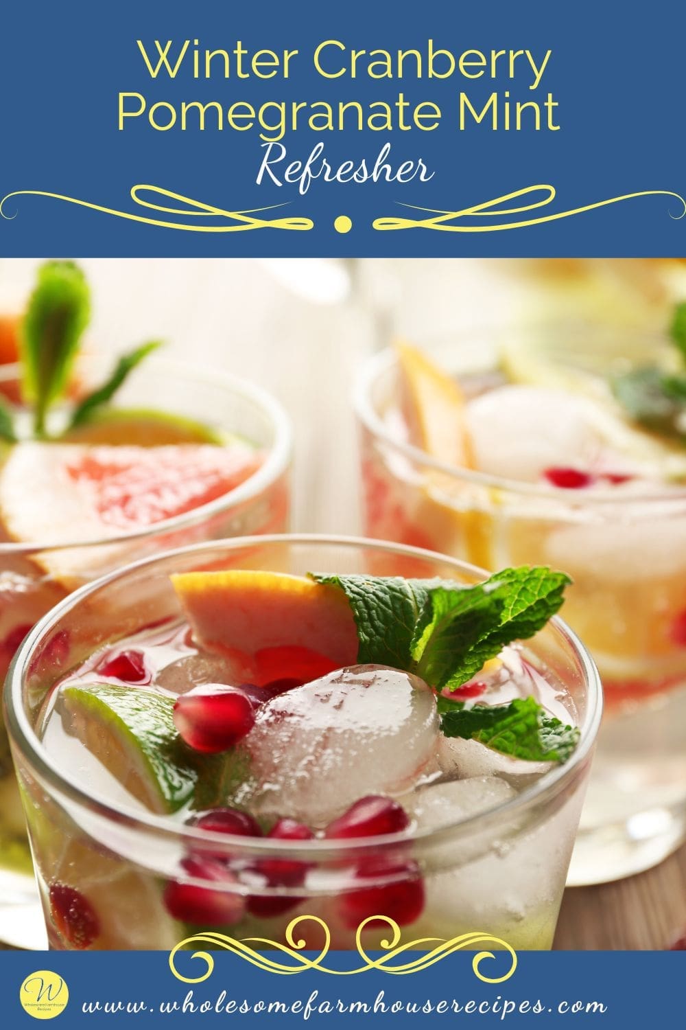Winter Cranberry Pomegranate Mint Refresher