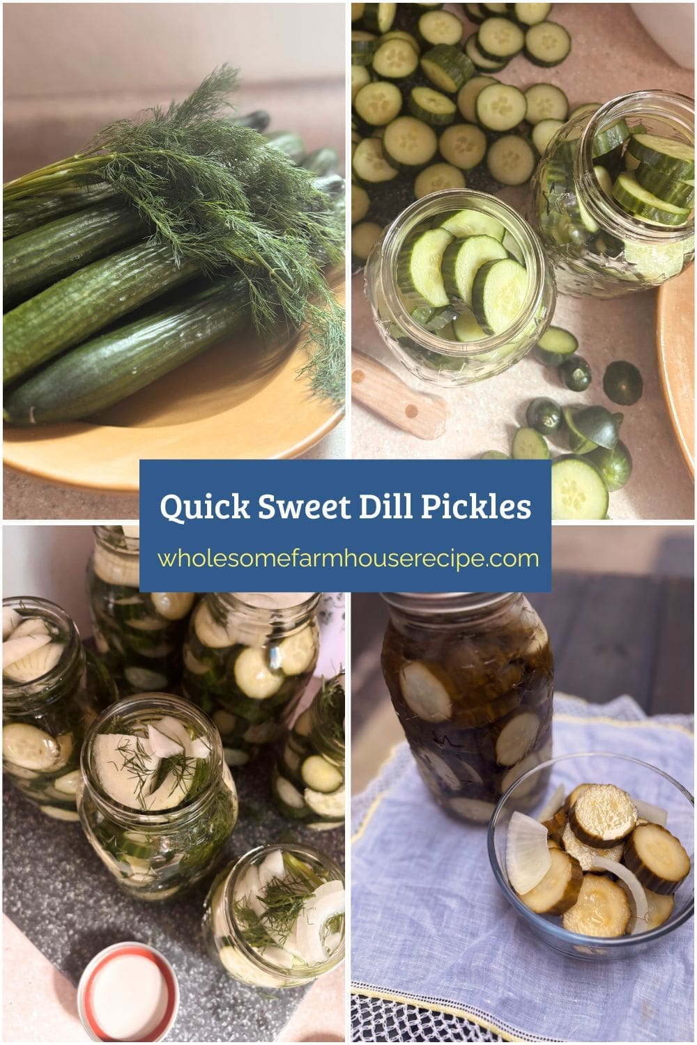Quick Sweet Dill Pickles