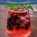Winter Berry Refresher with Cranberry & Pomegranate