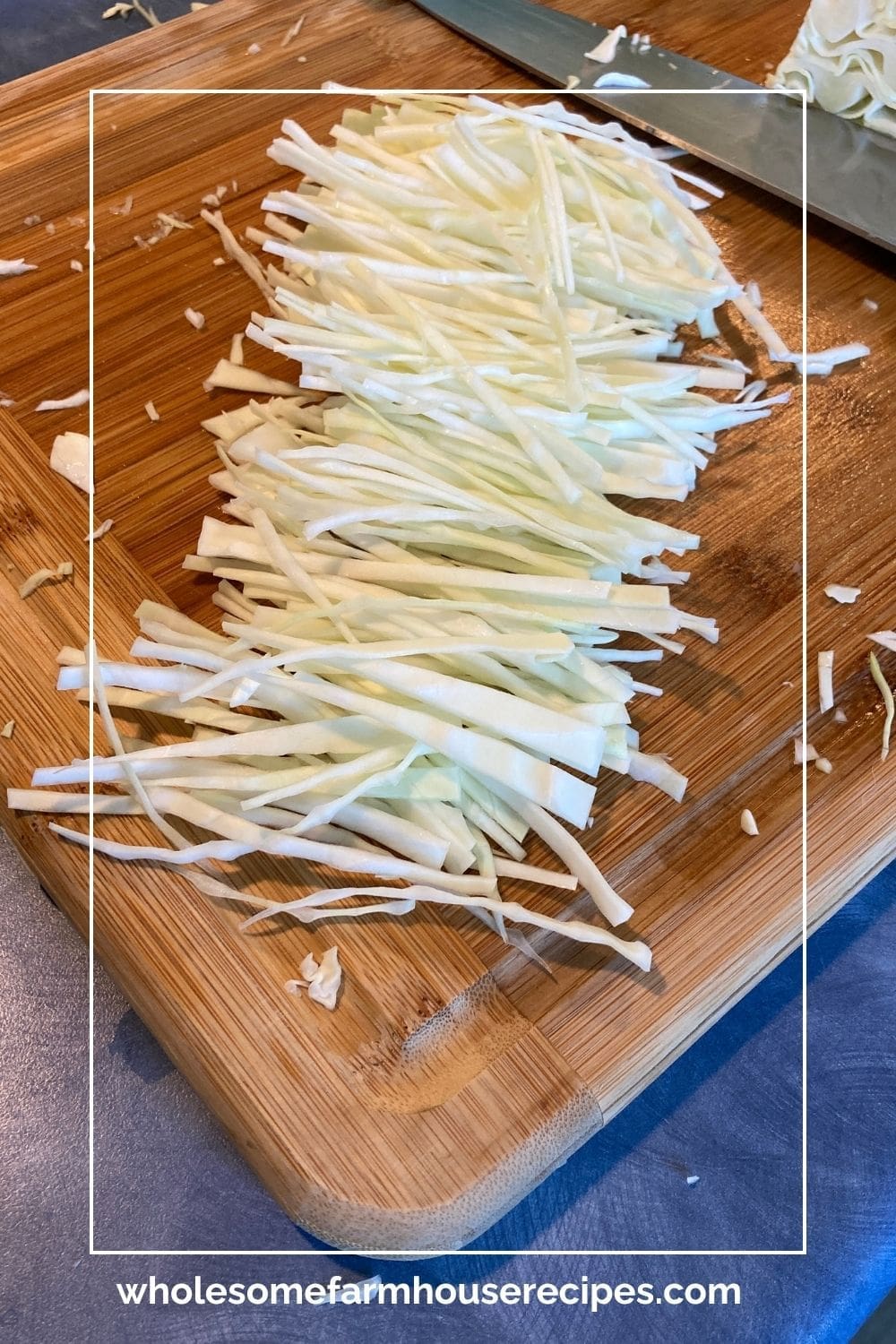 Preparing the Cabbage for Sauerkraut Making