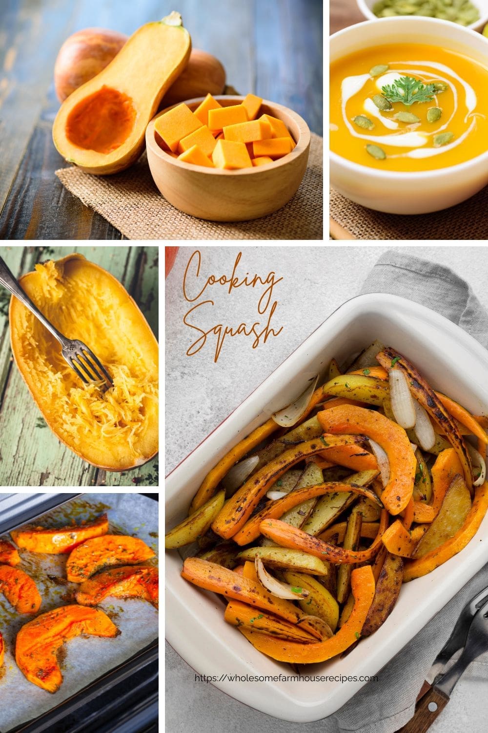 Cooking Squash