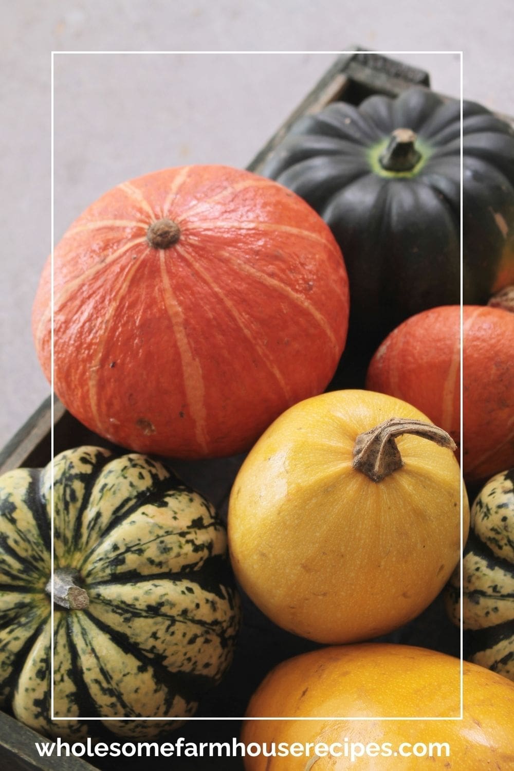 Different Squash Varieties