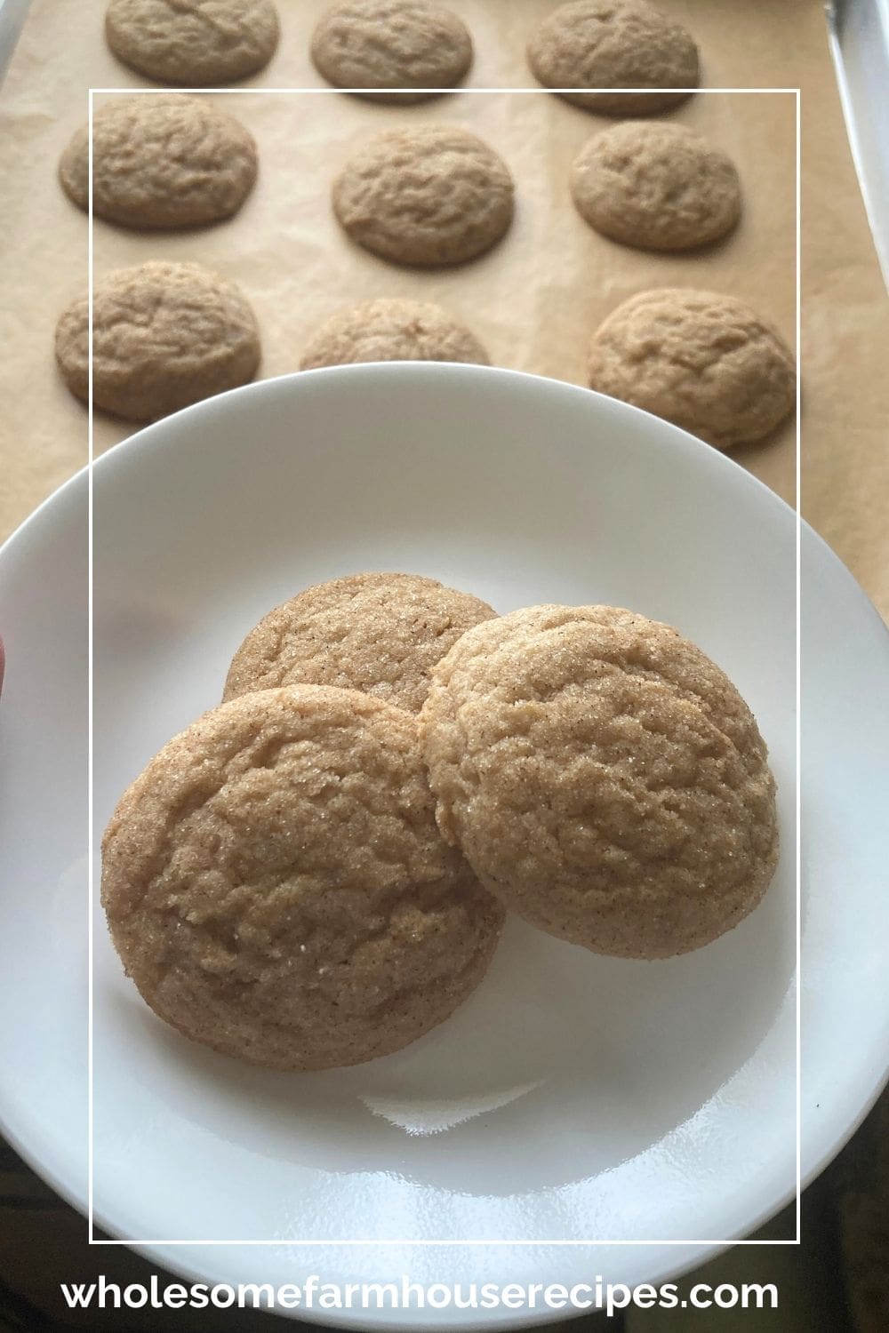Fresh Cookies with Apple Cider Flavor