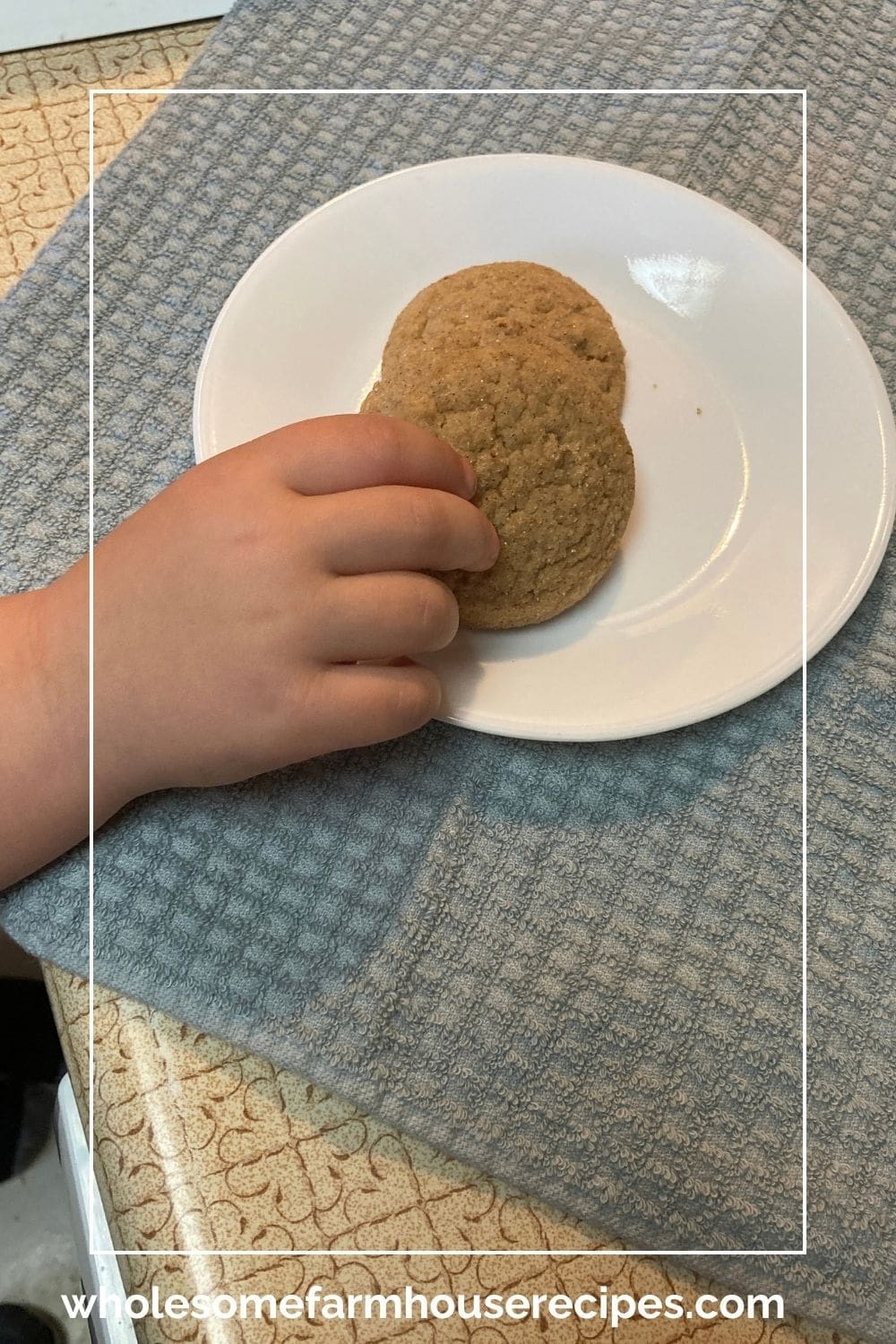 Sneaking an Apple Cider Cookie